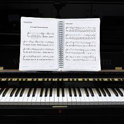 Plastic Piano Sheet Folder&nbsp;AJEW-WH0248-188A