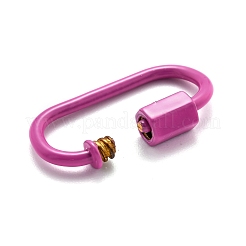 Spray Painted Brass Screw Carabiner Lock Clasps&nbsp;KK-B032-06