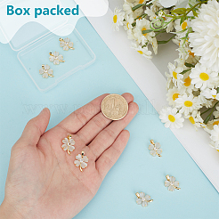 8Pcs Brass Micro Pave Clear Cubic Zirconia & Cat Eye Pendants&nbsp;KK-BC0015-63A