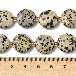 Natural Dalmatian Jasper Beads Strands&nbsp;G-A292-A06-01
