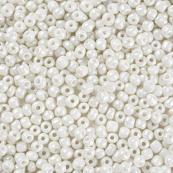 6/0 Glass Seed Beads&nbsp;SEED-N005-002A-F03