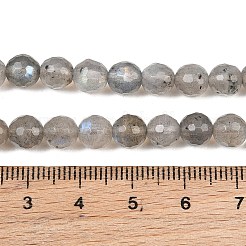 Natural Labradorite Beads Strands&nbsp;G-O176-04B