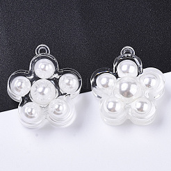 Transparent Acrylic Pendants&nbsp;TACR-R146-001