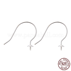 925 Sterling Silver Earring Hooks&nbsp;STER-I014-12S
