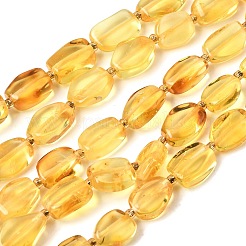 Natural Amber Beads Strands&nbsp;G-K376-G03-03