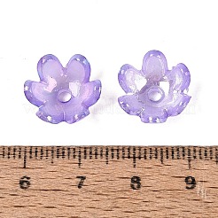 Transparent Acrylic Bead Caps&nbsp;TACR-T007-07E