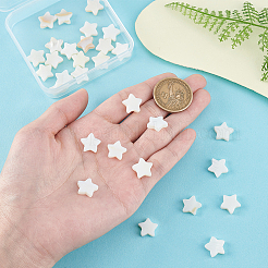 60Pcs Natural Shell Beads Strands&nbsp;SHEL-PH0002-30