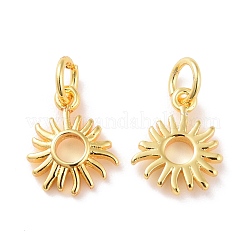Brass Charms&nbsp;KK-G418-24G