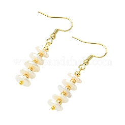 304 Stainless Steel Dangle Earrings&nbsp;EJEW-JE07303
