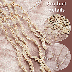 4 Strands Natural Shell Beads Strands&nbsp;BSHE-PH0001-37