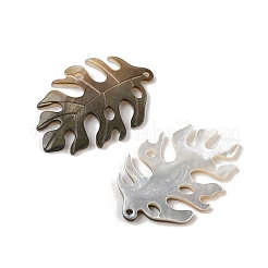 Natural Black Lip Shell Pendants&nbsp;SHEL-R100-07A