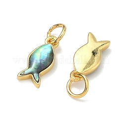 Natural Paua Shell Fish Charms&nbsp;X-KK-F926-04A