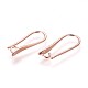 Brass Earring Hooks&nbsp;KK-L177-32RG-1