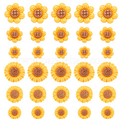 36Pcs 6 Styles Opaque Resin Cabochons&nbsp;RESI-TA0002-96