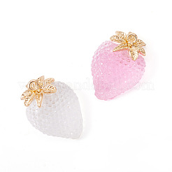 2Pcs 2 Colors Alloy Resin Pendants&nbsp;CRES-TA0001-53