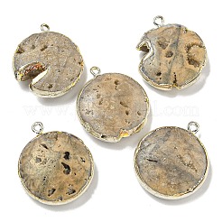 Electroplated Natural Druzy Agate Pendants&nbsp;G-A229-01
