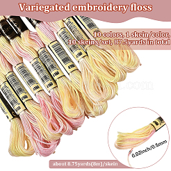 10 Skeins 6-Ply Polyester Embroidery Floss&nbsp;OCOR-CY0002-99G