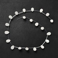 Natural White Jade Beads Strands&nbsp;G-P562-A01-01