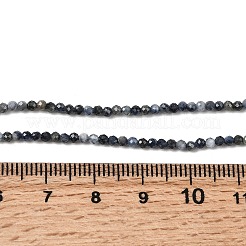 Natural Sapphire Beads Strands&nbsp;G-K366-C04-2mm