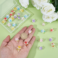 40Pcs 5 Colors Acrylic & ABS Plastic Imitation Pearl Pendants&nbsp;FIND-BM0001-51