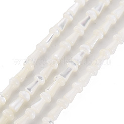 Natural Trochid Shell/Trochus Shell Beads Strands&nbsp;SSHEL-T014-44