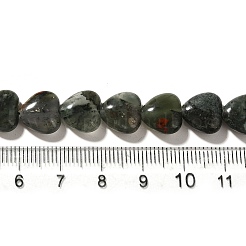 Natural African Bloodstone Beads Strands&nbsp;G-R190-10mm-56