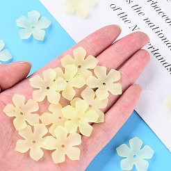 Transparent Acrylic Beads&nbsp;MACR-S373-119-D03