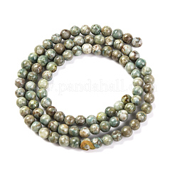 Natural Maifanite/Maifan Stone Beads Strands&nbsp;G-P451-01C-E