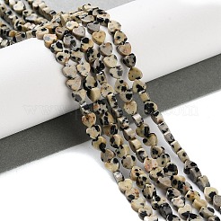 Natural Dalmatian Jasper Beads Strands&nbsp;G-M403-A31-01
