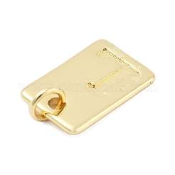 Brass Pendants&nbsp;KK-H206-10G-L