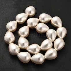 Electroplate Shell Pearl Beads Strands&nbsp;BSHE-G010-16x20mm-01