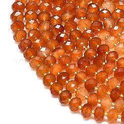 Natural Carnelian Beads Strands&nbsp;G-P573-A53-01