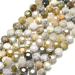 Natural Bamboo Leaf Agate Beads Strands&nbsp;G-C116-A91-01