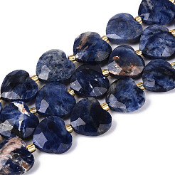 Natural Sodalite Beads Strands&nbsp;G-P592-B08-01