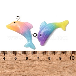 Transparent Resin Pendants&nbsp;RESI-H039-02P
