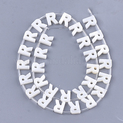 Freshwater Shell Beads&nbsp;X-SHEL-T012-59R