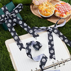 Polyester Ribbon&nbsp;OCOR-WH0111-51