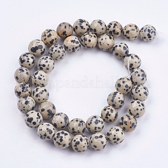 Natural Dalmatian Jasper Stone Bead Strands&nbsp;G-R193-14-10mm