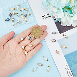 30Pcs 5 Colors Natural Freshwater Shell Rice Charms&nbsp;PALLOY-AB00092