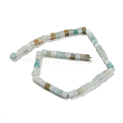 Natural Flower Amazonite Beads Strands&nbsp;G-Q1008-B03