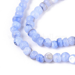 Natural Freshwater Shell Dyed Beads Strands&nbsp;SHEL-T020-29B