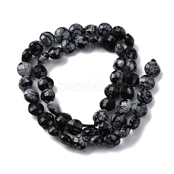 Natural Snowflake Obsidian Beads Strands&nbsp;G-C179-A33-03