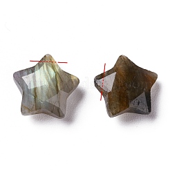 Natural Labradorite Charms&nbsp;X-G-H241-04C