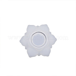 DIY Silicone Molds&nbsp;CAND-PW0002-037