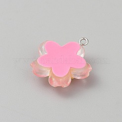 Transparent Resin Pendants&nbsp;RESI-TAC0002-84E