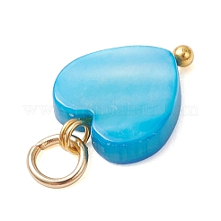 Dyed Natural Freshwater Shell Heart Charms&nbsp;PALLOY-JF05088-01
