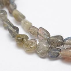 Natural Labradorite Beads Strands&nbsp;G-F521-42