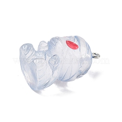 Halloween Transparent Resin Pendants&nbsp;CRES-B024-01P-01