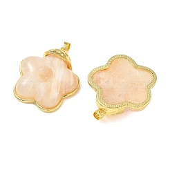 Brass & Resin Pendants&nbsp;KK-A303-04G-02
