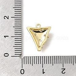 Brass Micro Pave Cubic Zirconia Pendants&nbsp;LS-KK-U061-05G-02